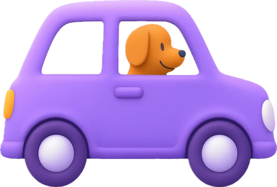 Pet Taxi